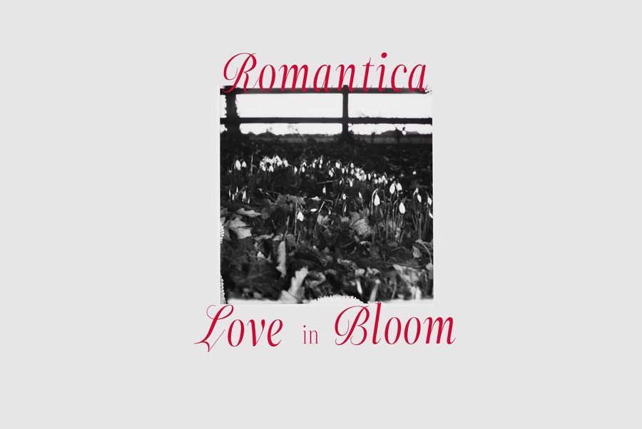 90个时装杂志平面影视时尚艺术海报设计衬线字体 ZT Neue Ralewe – 90 Styles 设计素材 第12张-素材湾丨精选海外优质设计素材资源 90个时装杂志平面影视时尚艺术海报设计衬线字体 ZT Neue Ralewe – 90 Styles 设计素材 sucaiwan.com