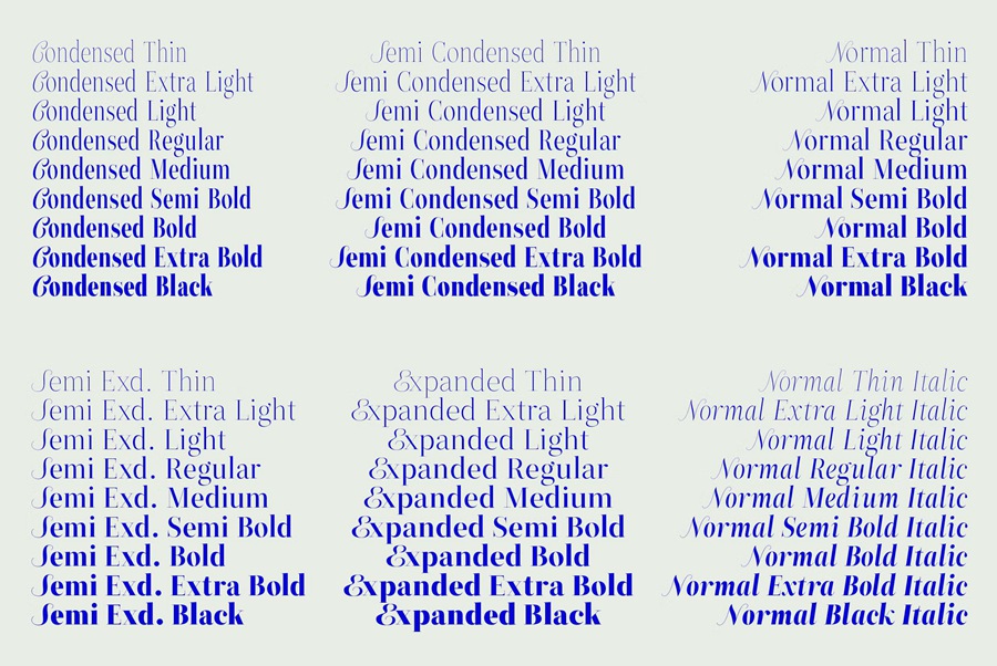 90个时装杂志平面影视时尚艺术海报设计衬线字体 ZT Neue Ralewe – 90 Styles 设计素材 第11张-素材湾丨精选海外优质设计素材资源 90个时装杂志平面影视时尚艺术海报设计衬线字体 ZT Neue Ralewe – 90 Styles 设计素材 sucaiwan.com