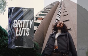 Acidbite – GRITTY LUTS 600多个高级审美短片冷蓝沙棕黑白风格化多个LUTs调色预设