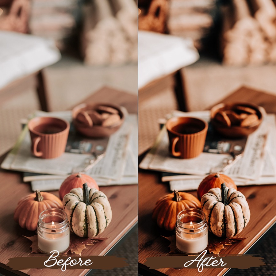 LR/PS预设-浓烈秋季气息浪漫人像Lightroom预设 Rustic Fall Lightroom Presets 插件预设 sucaiwan.com