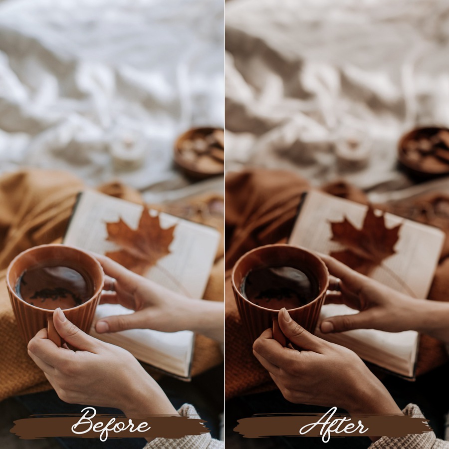 LR/PS预设-浓烈秋季气息浪漫人像Lightroom预设 Rustic Fall Lightroom Presets 插件预设 sucaiwan.com