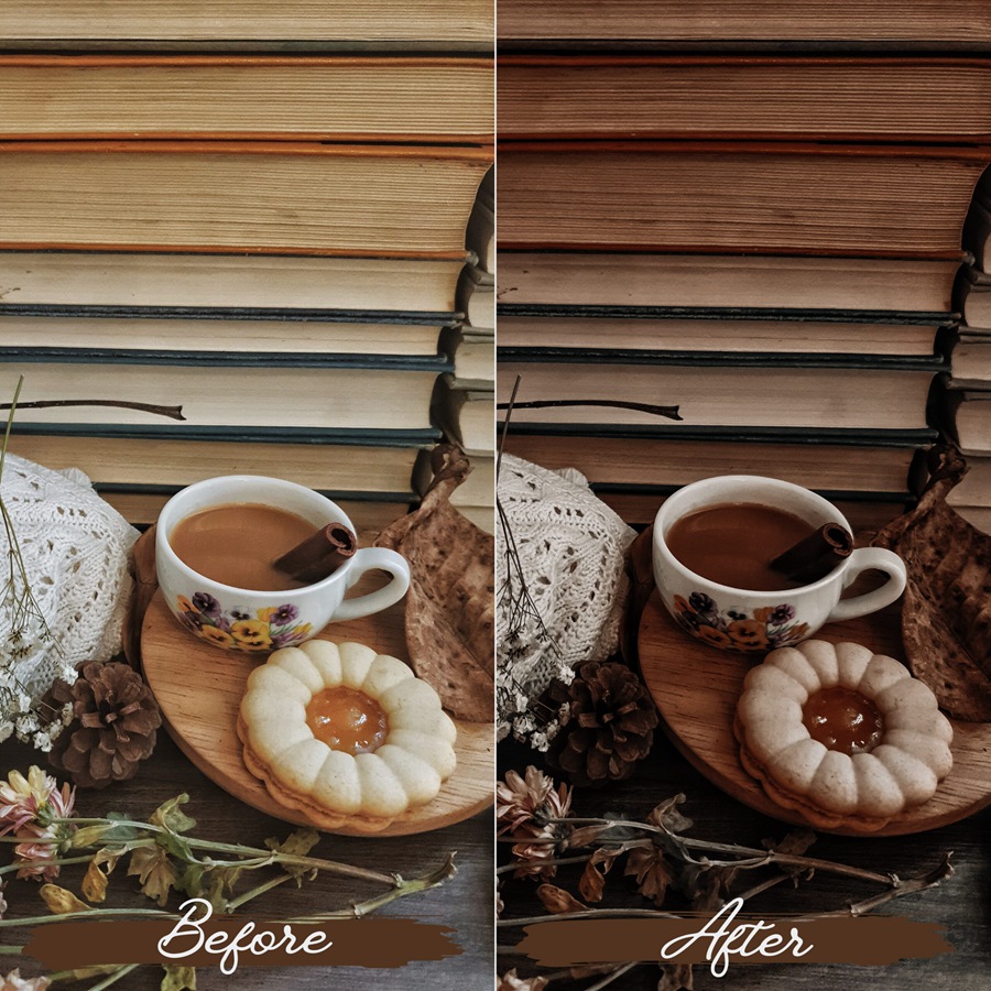 LR/PS预设-浓烈秋季气息浪漫人像Lightroom预设 Rustic Fall Lightroom Presets 插件预设 sucaiwan.com