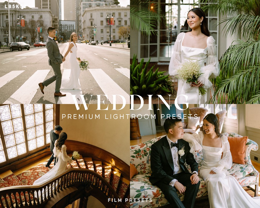 AI智能预设- AI工具包及电影胶片LR预设 Meridian LKO Film Presets 插件预设 sucaiwan.com