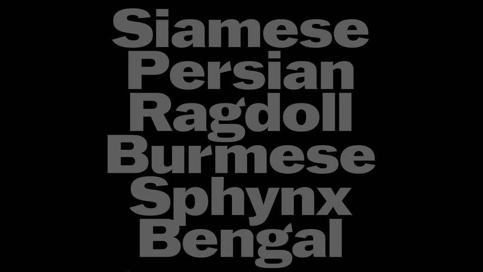 Murs Gothic厚重的英文字体，免费可商用 设计素材 sucaiwan.com