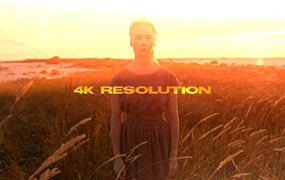 PR模板: 复古做旧胶片燃烧漏光动态光耀斑转场动画过渡