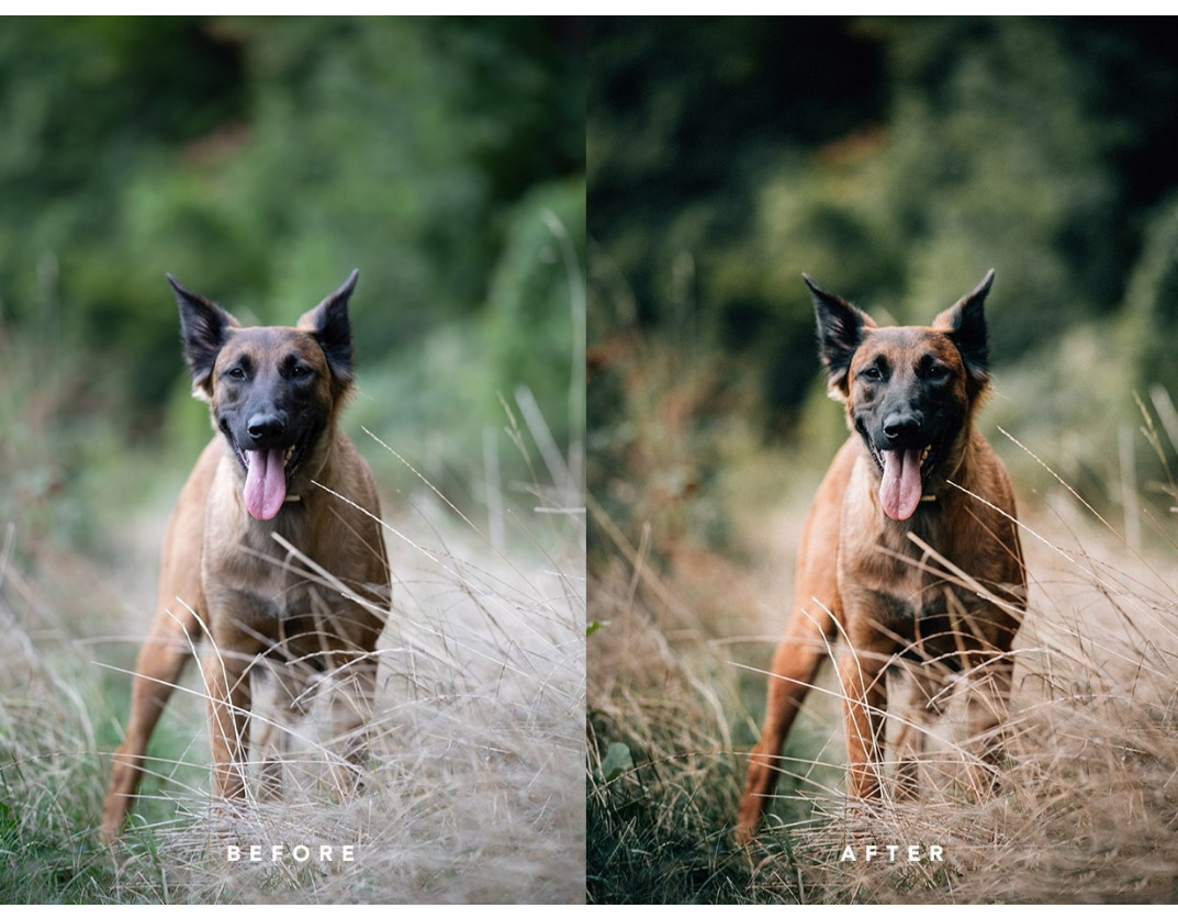 LR/PS预设-摄影师(Christian Mate Grab)情绪电影LR预设 LIKE FILM 10 Lightroom Presets 插件预设 sucaiwan.com