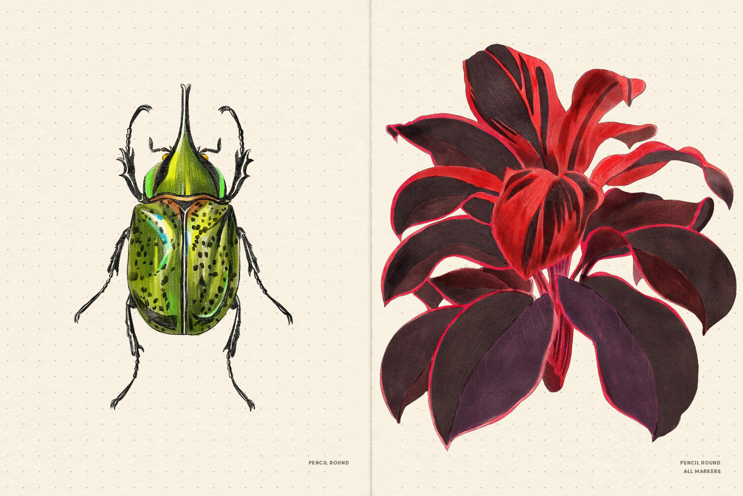 Procreate水彩速涂笔刷套装 , sucaiwan.com