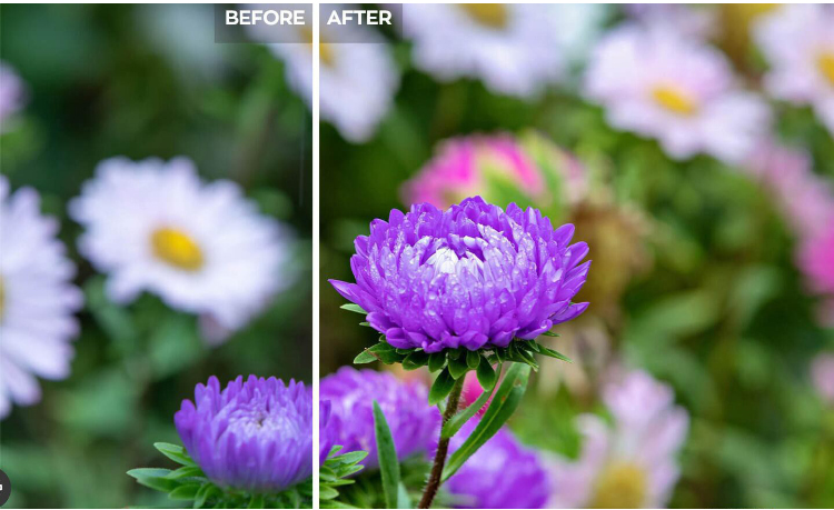 PS/LR插件：AI智能完美清晰照片自动调整人像修饰调色修图软件 Radiant Photo 1.3.1.424 Win中文版 插件预设 sucaiwan.com