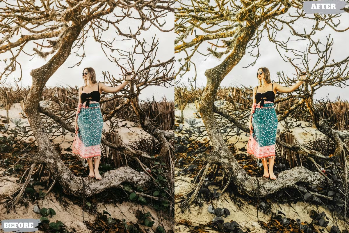 温暖八月人像旅拍摄影后期调色Lightroom预设 Warmht Agust Lightroom Presets Dekstop and Mobile 插件预设 sucaiwan.com