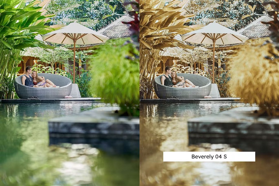 金黄色调森林旅行摄影后期Lightroom预设及电影调色LUT预设 20 Golden Forest Lightroom Presets & LUTs 插件预设 sucaiwan.com