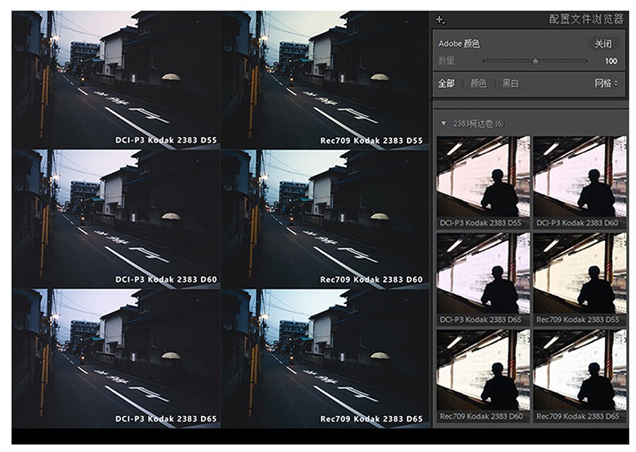 60款柯达Kodak电影胶片调色预设SP-3000扫描仪配置文件2383电影卷2393视频lut优质精选预设 APP UI 第8张-素材湾丨精选海外优质设计素材资源 60款柯达Kodak电影胶片调色预设SP-3000扫描仪配置文件2383电影卷2393视频lut优质精选预设 APP UI sucaiwan.com