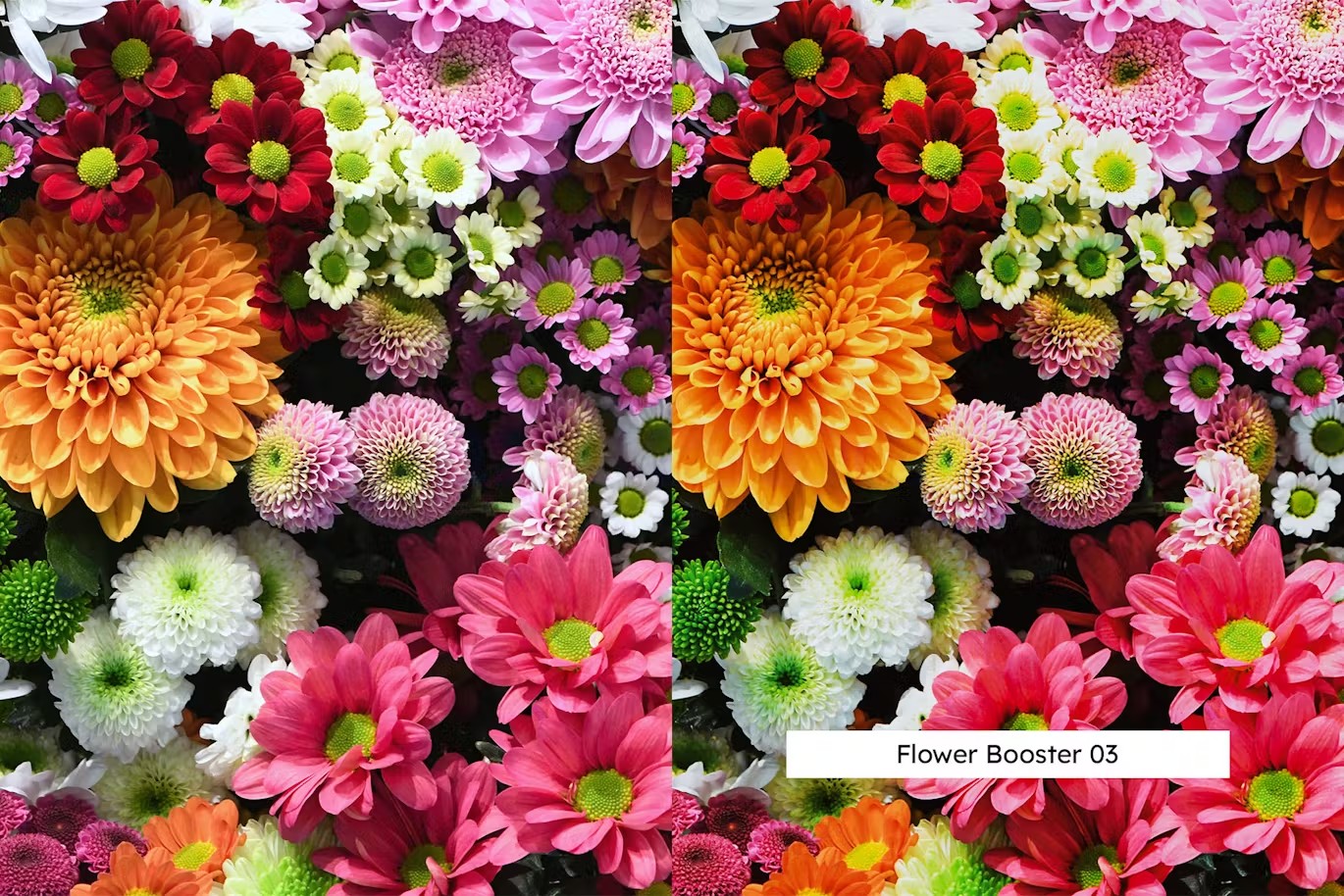 植物花卉自然旅拍摄影后期Lightroom预设及电影调色LUT预设 20 Lightroom Presets und LUTs für Blumen 插件预设 sucaiwan.com