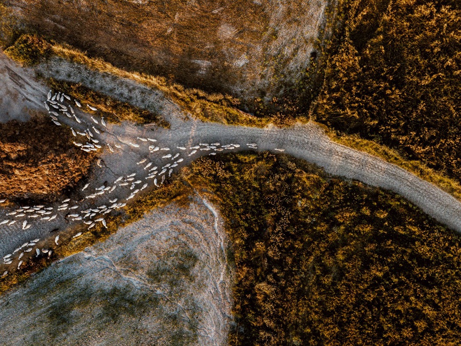 LR预设：13组高级户外绿色摄影锐化亮光效果照片调色Lightroom预设 Archipelago – Quest 29 Altitude Presets , sucaiwan.com