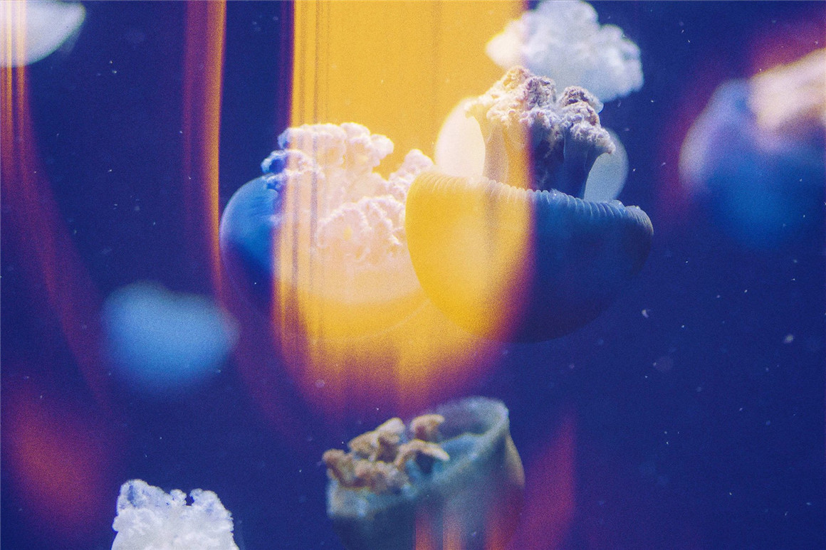 潮流复古迷幻弥散光渐变影颗粒噪点照片处理特效PS样机滤镜模板 Aura Leaks Photo Effect , 第7张-素材湾丨精选海外优质设计素材资源 潮流复古迷幻弥散光渐变影颗粒噪点照片处理特效PS样机滤镜模板 Aura Leaks Photo Effect , sucaiwan.com