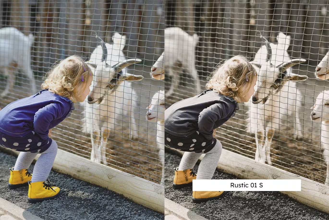 温暖乡村农场生活摄影后期Lightroom预设及电影调色LUT预设 20 Lightroom Presets und LUTs von Farm Life 插件预设 第3张-素材湾丨精选海外优质设计素材资源 温暖乡村农场生活摄影后期Lightroom预设及电影调色LUT预设 20 Lightroom Presets und LUTs von Farm Life 插件预设 sucaiwan.com