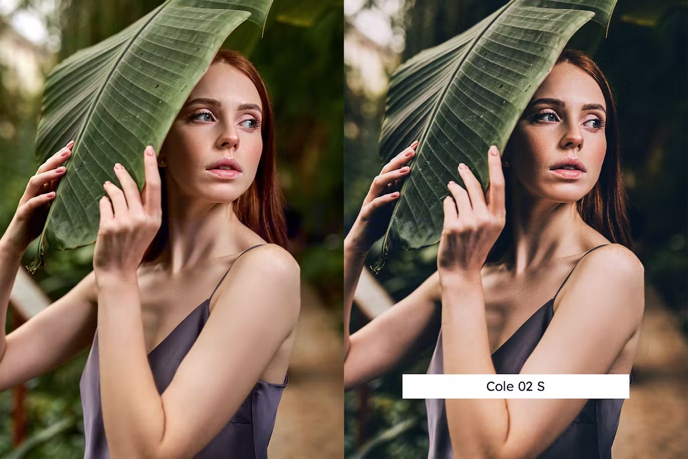 迷人翠绿户外时尚摄影后期Lightroom预设及电影调色LUT预设 20 Jade-Lightroom Lightroom Presets & LUTs 插件预设 sucaiwan.com