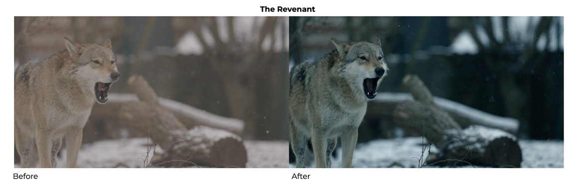 Premiere Gal 20部流行好莱坞电影彩色胶片LUTS调色预设包+PR预设 Hollywood Movie Color Preset LUT Pack 插件预设 第3张-素材湾丨精选海外优质设计素材资源 Premiere Gal 20部流行好莱坞电影彩色胶片LUTS调色预设包+PR预设 Hollywood Movie Color Preset LUT Pack 插件预设 sucaiwan.com