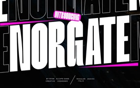 现代简洁时尚媒体海报杂志排版高大标题贴纸无衬线大写字体 Norgate - Condesed sans type