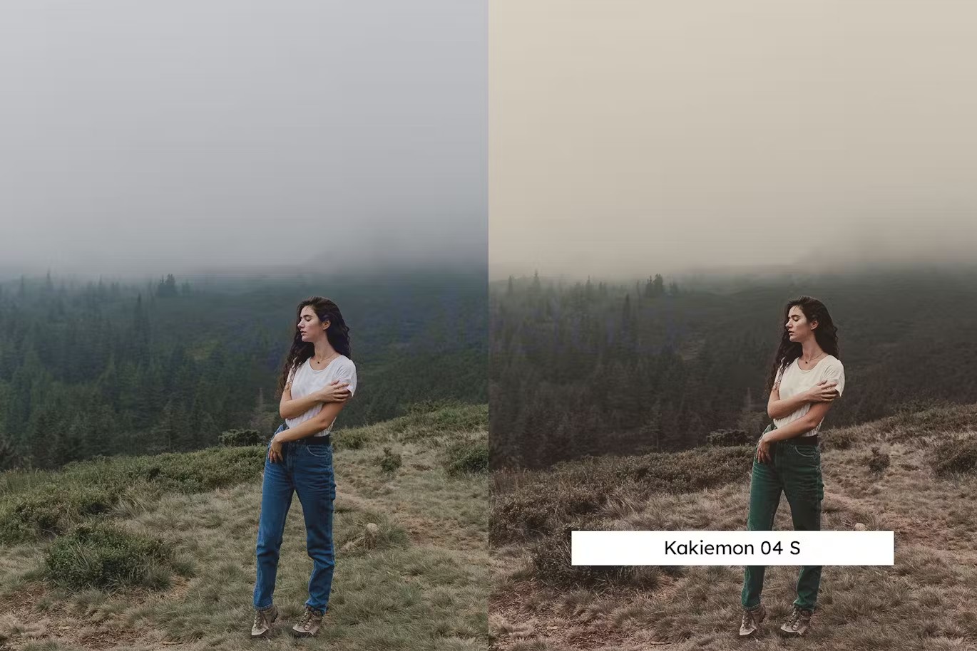 黑暗忧郁柔和情绪人像摄影后期Lightroom预设及电影调色LUT预设 20 Lightroom Presets und LUTs mit gedämpfter Stimmung 插件预设 第2张-素材湾丨精选海外优质设计素材资源 黑暗忧郁柔和情绪人像摄影后期Lightroom预设及电影调色LUT预设 20 Lightroom Presets und LUTs mit gedämpfter Stimmung 插件预设 sucaiwan.com