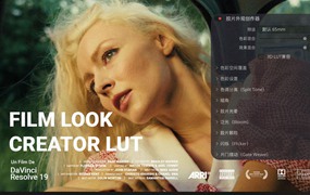 达芬奇19全新复古胶片外观创作器胶片模拟LUT调色预设