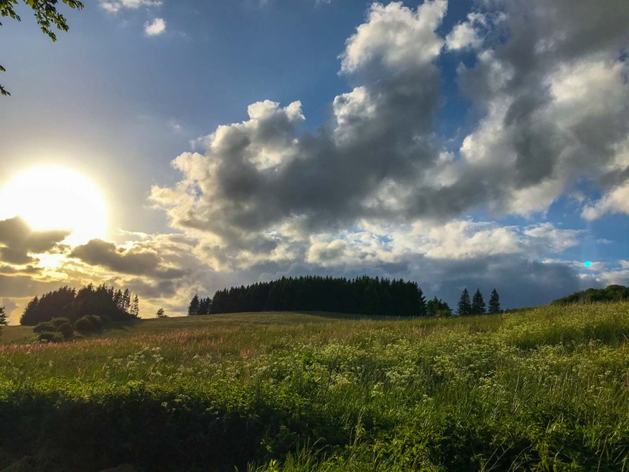 音效:春夏秋冬宁静鸟鸣森林风声氛围环境音效库 Just Sound Effects Forest Ambiences 影视音频 第5张-素材湾丨精选海外优质设计素材资源 音效:春夏秋冬宁静鸟鸣森林风声氛围环境音效库 Just Sound Effects Forest Ambiences 影视音频 sucaiwan.com