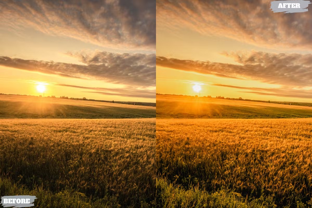 金黄夏日电影美学人像摄影后期调色Lightroom预设 Golden Summer Lightroom Presets für Desktop und Handy 插件预设 第2张-素材湾丨精选海外优质设计素材资源 金黄夏日电影美学人像摄影后期调色Lightroom预设 Golden Summer Lightroom Presets für Desktop und Handy 插件预设 sucaiwan.com