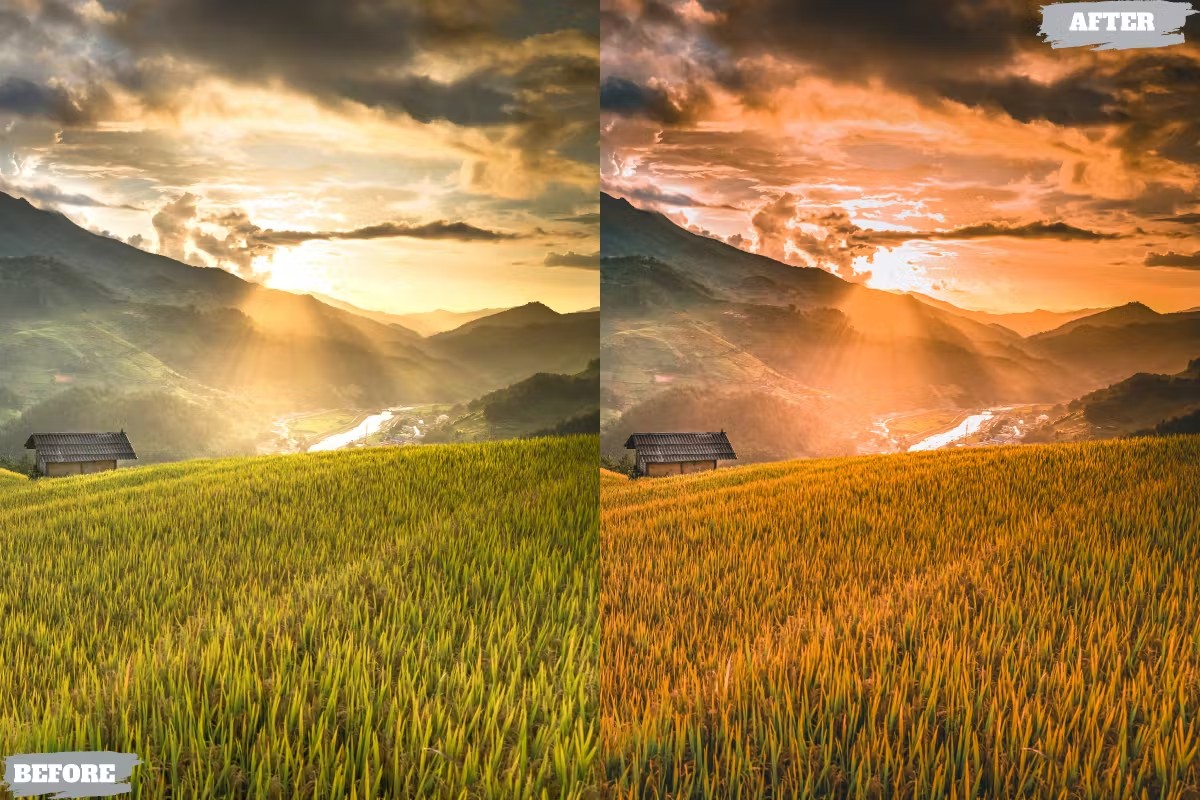 金黄夏日电影美学人像摄影后期调色Lightroom预设 Golden Summer Lightroom Presets für Desktop und Handy 插件预设 第3张-素材湾丨精选海外优质设计素材资源 金黄夏日电影美学人像摄影后期调色Lightroom预设 Golden Summer Lightroom Presets für Desktop und Handy 插件预设 sucaiwan.com