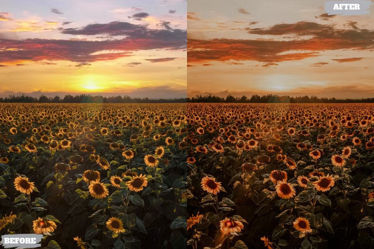 金黄夏日电影美学人像摄影后期调色Lightroom预设 Golden Summer Lightroom Presets für Desktop und Handy 插件预设 第4张-素材湾丨精选海外优质设计素材资源 金黄夏日电影美学人像摄影后期调色Lightroom预设 Golden Summer Lightroom Presets für Desktop und Handy 插件预设 sucaiwan.com