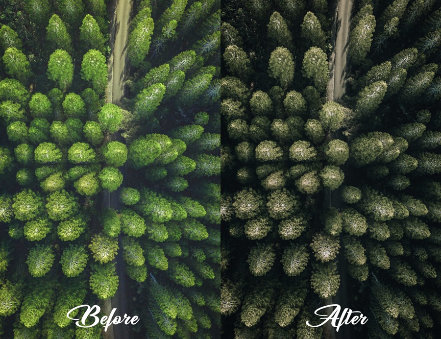 LR/PS预设-旅行自然摄影绿色调无人机电影LR预设 MePresets-Cinematic Green Presets 插件预设 sucaiwan.com