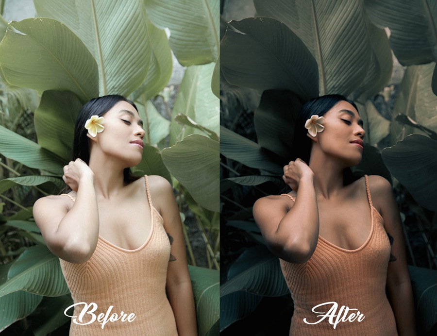 LR/PS预设-旅行自然摄影绿色调无人机电影LR预设 MePresets-Cinematic Green Presets 插件预设 sucaiwan.com