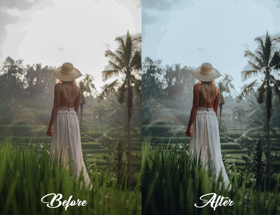 LR/PS预设-旅行自然摄影绿色调无人机电影LR预设 MePresets-Cinematic Green Presets 插件预设 sucaiwan.com