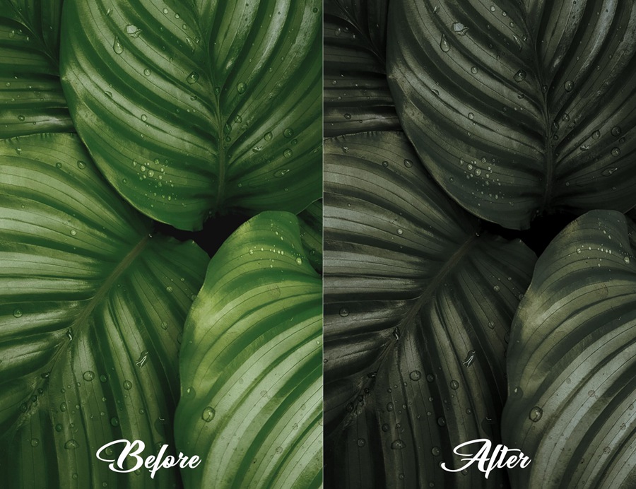 LR/PS预设-旅行自然摄影绿色调无人机电影LR预设 MePresets-Cinematic Green Presets 插件预设 sucaiwan.com