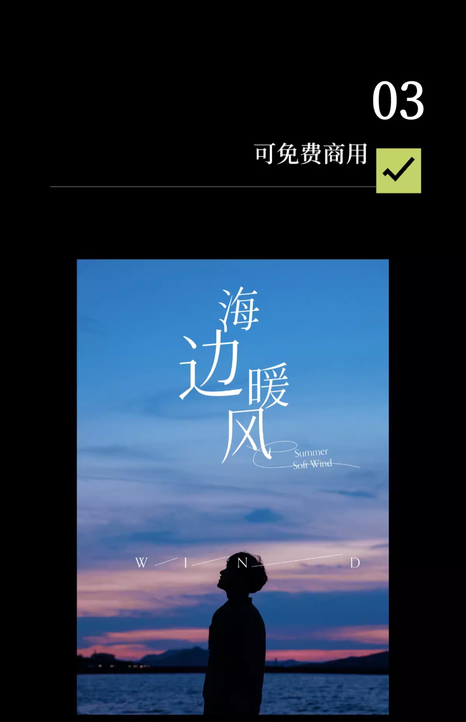 24个文艺古风宋体字体书籍展览海报排版视频剪辑中文字体 设计素材 sucaiwan.com