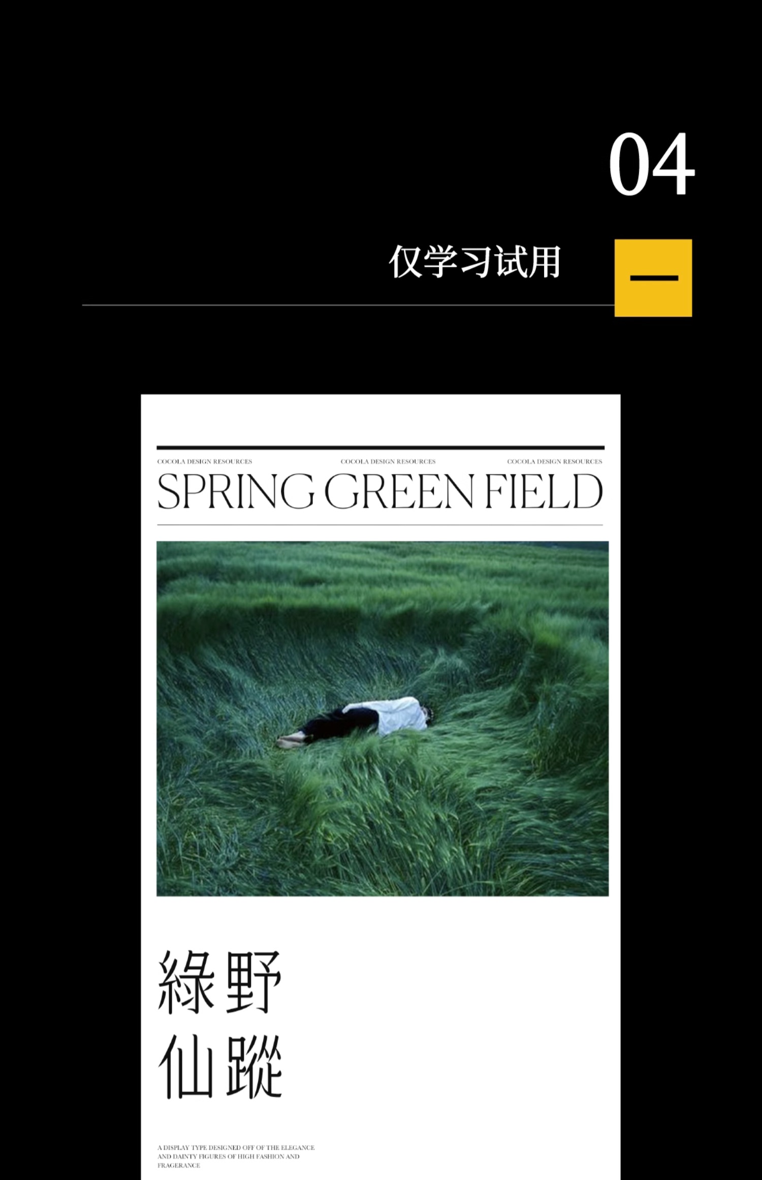 24个文艺古风宋体字体书籍展览海报排版视频剪辑中文字体 设计素材 sucaiwan.com