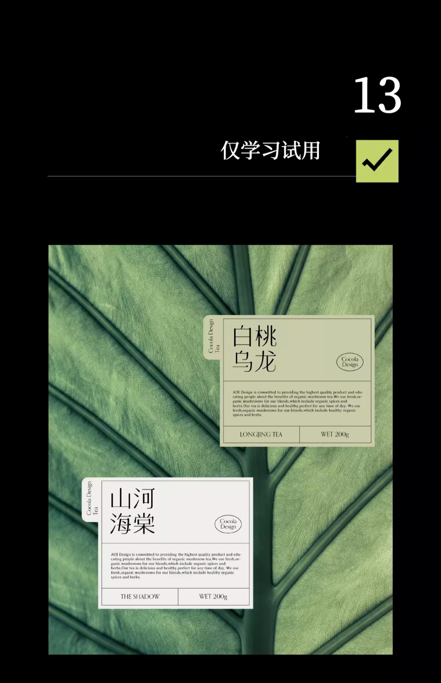 24个文艺古风宋体字体书籍展览海报排版视频剪辑中文字体 设计素材 sucaiwan.com