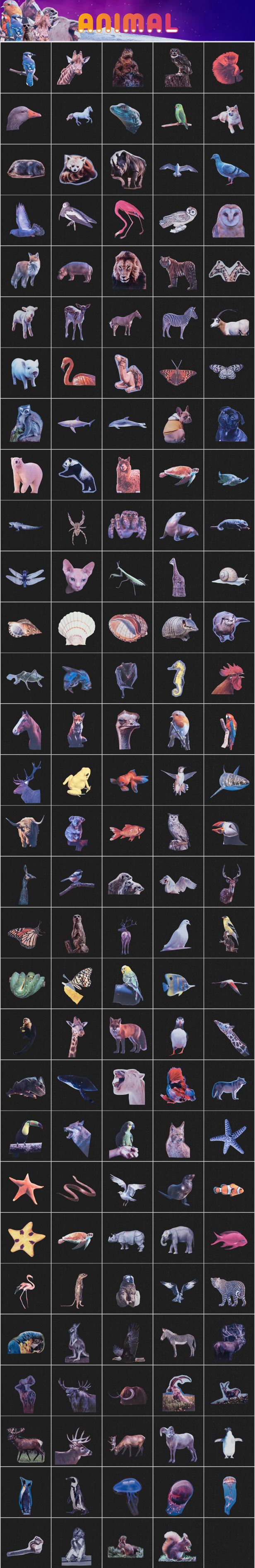 AE脚本-2400个人物眼耳口鼻手头发风景花朵动物食物交通物品复古贴纸定格动画预设 Collage V5(AtomX 3.0.8) 影视音频 第7张-素材湾丨精选海外优质设计素材资源 AE脚本-2400个人物眼耳口鼻手头发风景花朵动物食物交通物品复古贴纸定格动画预设 Collage V5(AtomX 3.0.8) 影视音频 sucaiwan.com