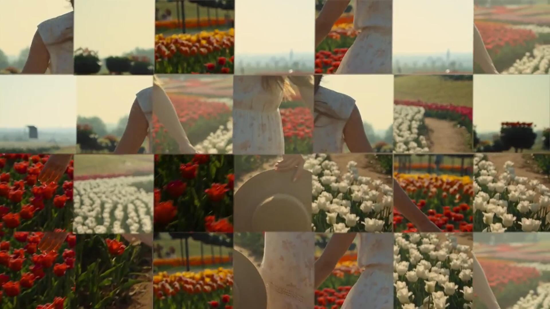 PR预设：迷幻眩晕棱镜重影叠加视觉效果镜头滤镜 , sucaiwan.com