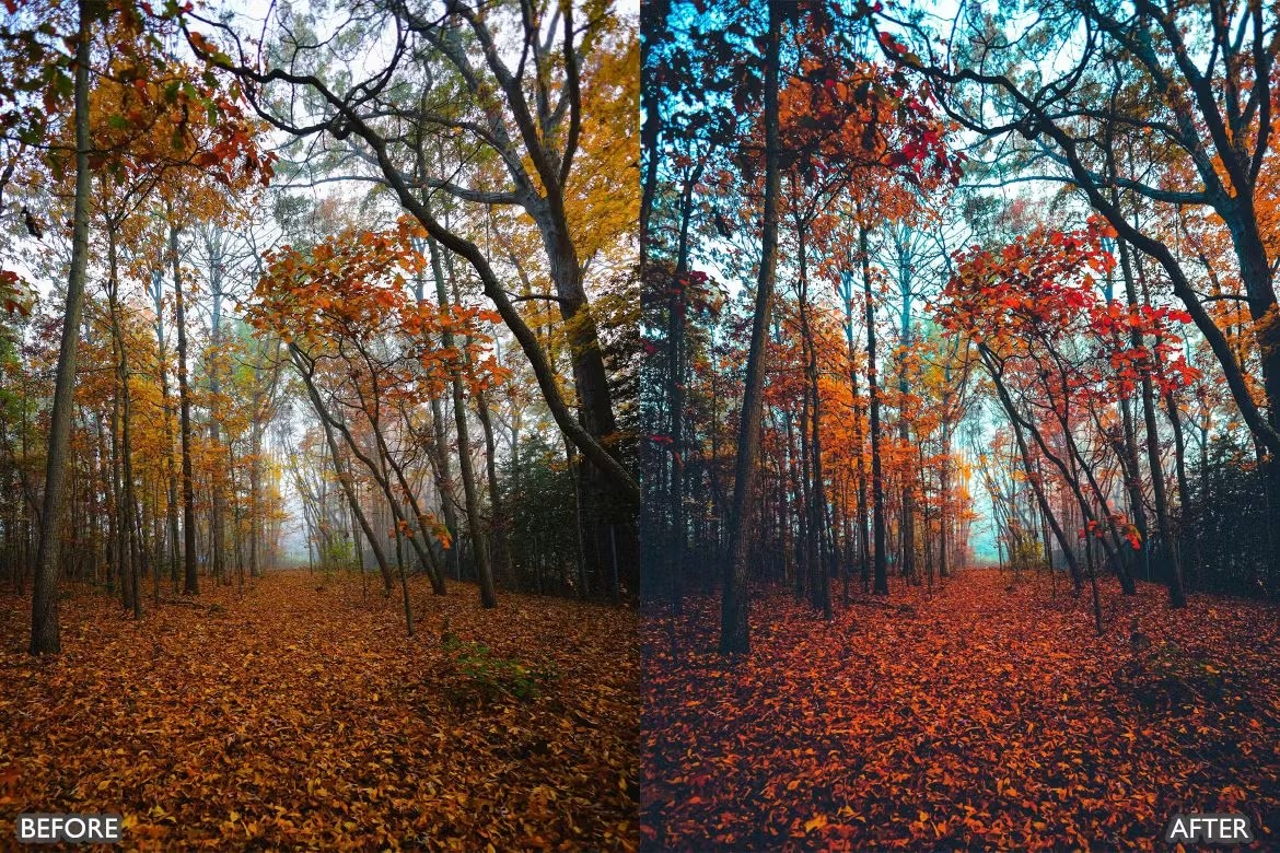 喜怒无常秋天景观荒野摄影后期调色Lightroom预设 Herbst-Herbst-Presets für Lightroom Mobile und Desktop 插件预设 sucaiwan.com
