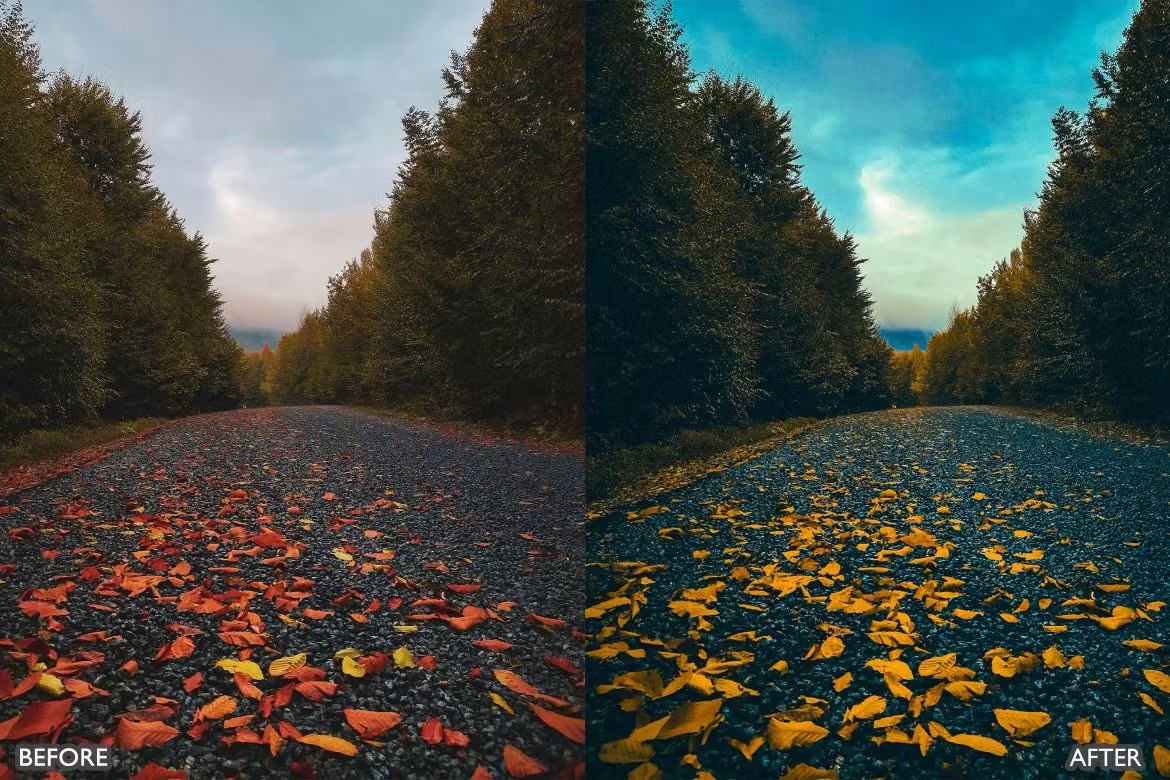 喜怒无常秋天景观荒野摄影后期调色Lightroom预设 Herbst-Herbst-Presets für Lightroom Mobile und Desktop 插件预设 sucaiwan.com