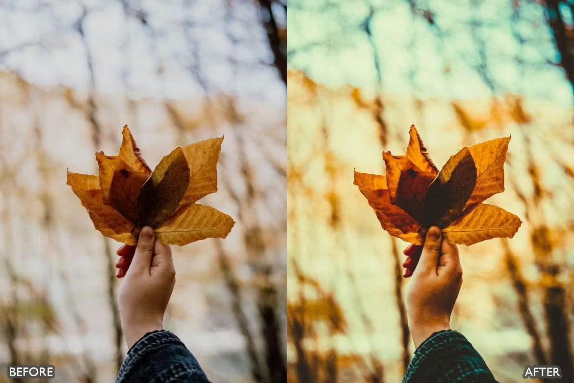 喜怒无常秋天景观荒野摄影后期调色Lightroom预设 Herbst-Herbst-Presets für Lightroom Mobile und Desktop 插件预设 sucaiwan.com