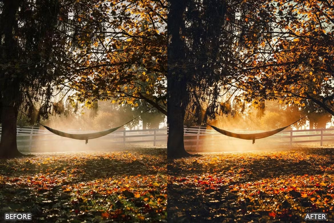 喜怒无常秋天景观荒野摄影后期调色Lightroom预设 Herbst-Herbst-Presets für Lightroom Mobile und Desktop 插件预设 sucaiwan.com