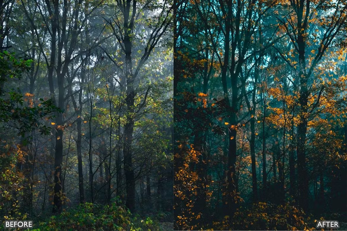 喜怒无常秋天景观荒野摄影后期调色Lightroom预设 Herbst-Herbst-Presets für Lightroom Mobile und Desktop 插件预设 sucaiwan.com