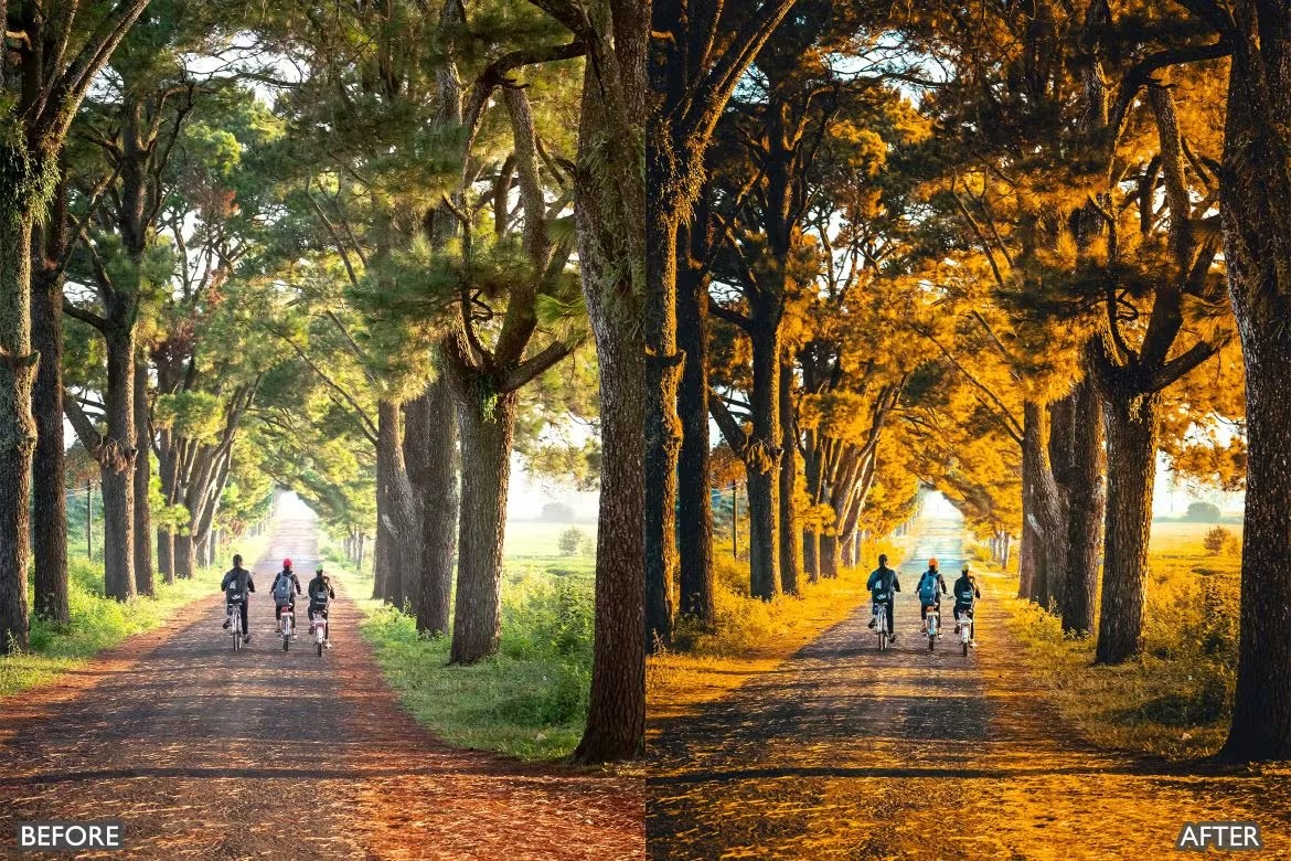 喜怒无常秋天景观荒野摄影后期调色Lightroom预设 Herbst-Herbst-Presets für Lightroom Mobile und Desktop 插件预设 sucaiwan.com