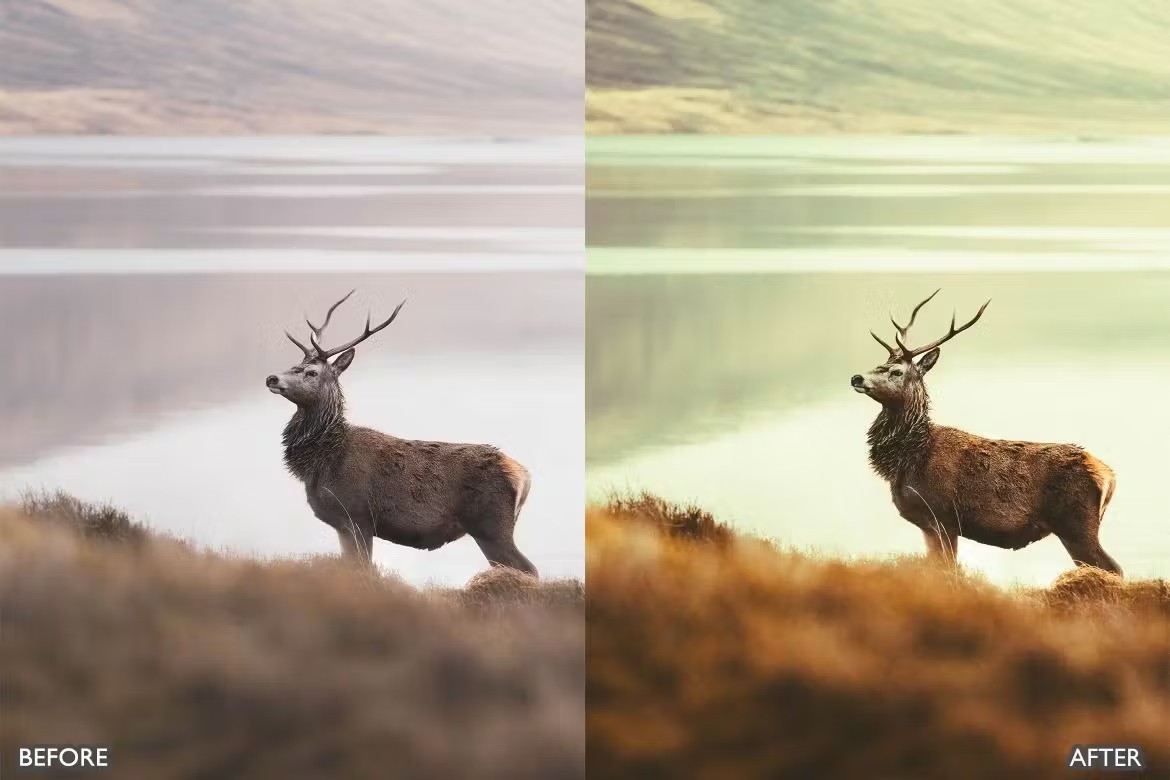 喜怒无常秋天景观荒野摄影后期调色Lightroom预设 Herbst-Herbst-Presets für Lightroom Mobile und Desktop 插件预设 sucaiwan.com