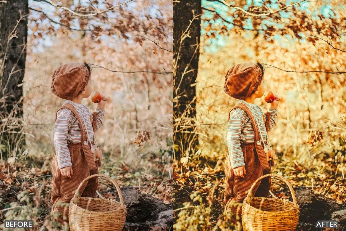 喜怒无常秋天景观荒野摄影后期调色Lightroom预设 Herbst-Herbst-Presets für Lightroom Mobile und Desktop 插件预设 sucaiwan.com