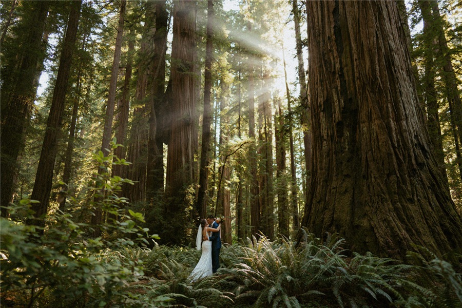 G-Presets 经典怀旧复古色调颗粒氛围落日低光LR调色预设包 G-Presets Open Roads Presets , sucaiwan.com