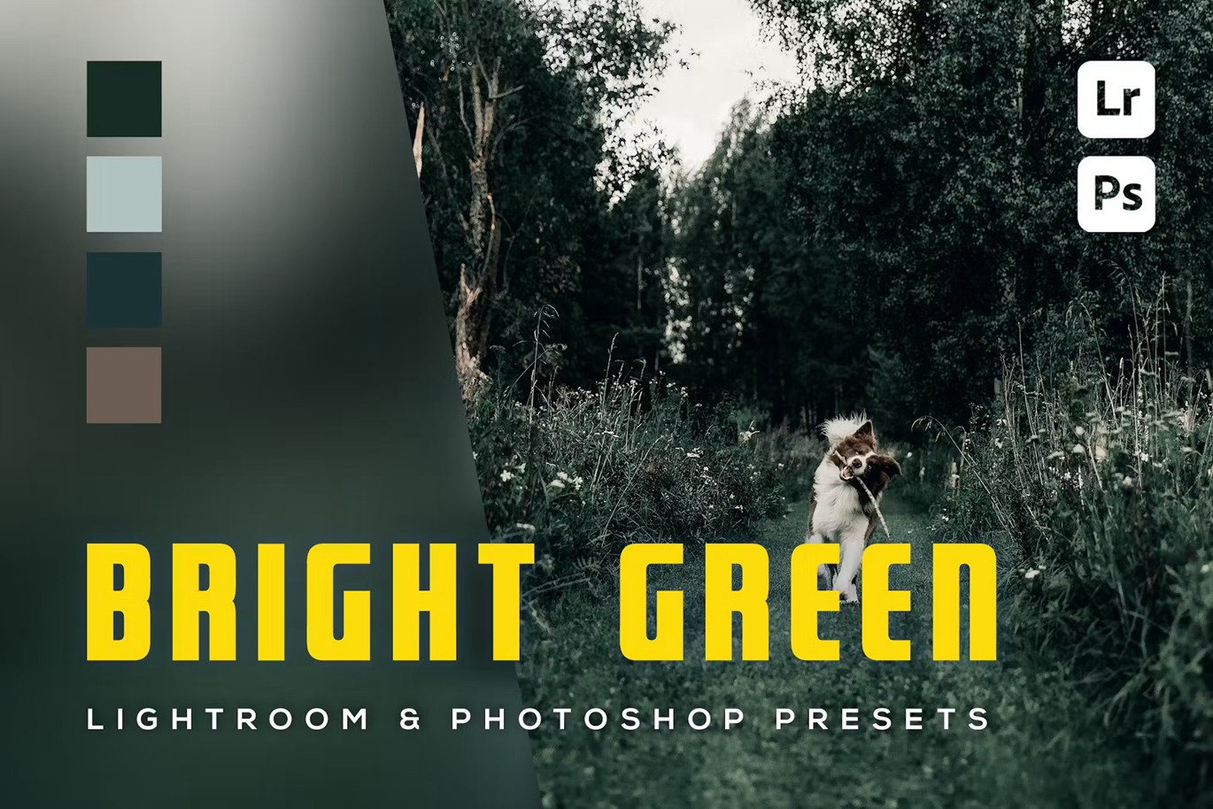 现代电影黑暗深绿色摄影后期调色Lightroom预设 6 hellgrüne Lightroom- und Photoshop-Voreinstellungen 插件预设 sucaiwan.com