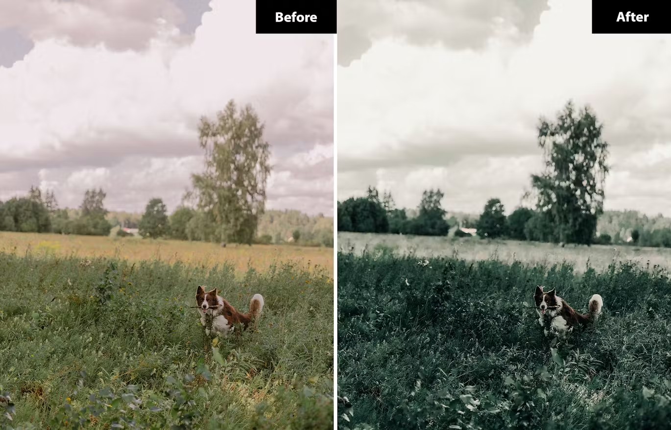 现代电影黑暗深绿色摄影后期调色Lightroom预设 6 hellgrüne Lightroom- und Photoshop-Voreinstellungen 插件预设 sucaiwan.com