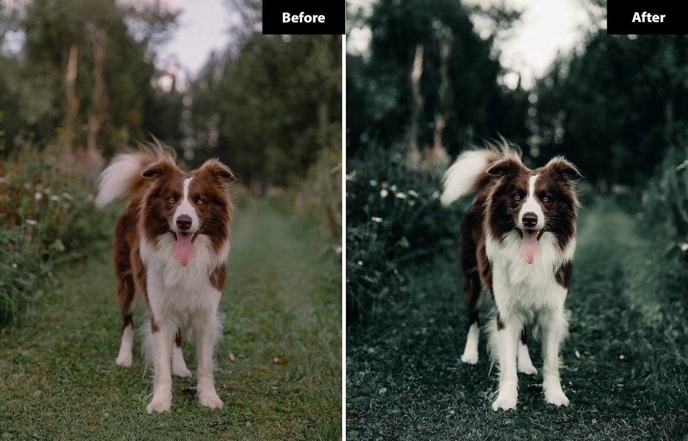 现代电影黑暗深绿色摄影后期调色Lightroom预设 6 hellgrüne Lightroom- und Photoshop-Voreinstellungen 插件预设 sucaiwan.com
