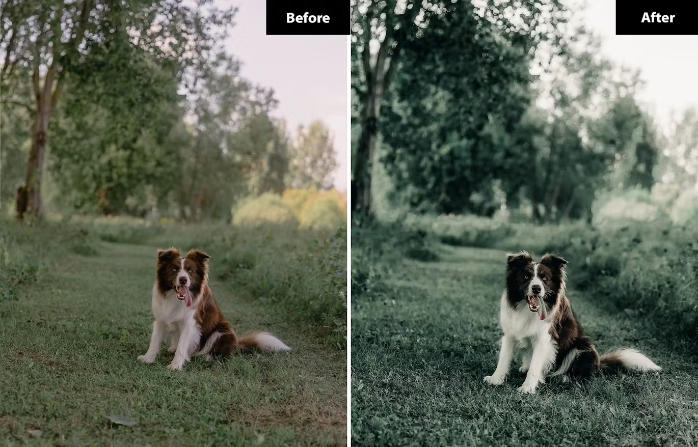 现代电影黑暗深绿色摄影后期调色Lightroom预设 6 hellgrüne Lightroom- und Photoshop-Voreinstellungen 插件预设 sucaiwan.com